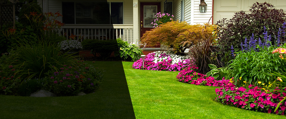 Arroyo Grande Landscapers