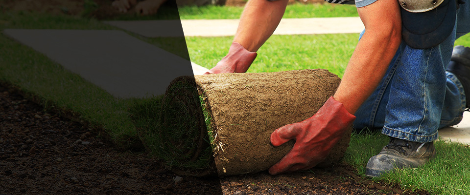 Arroyo Grande Landscapers